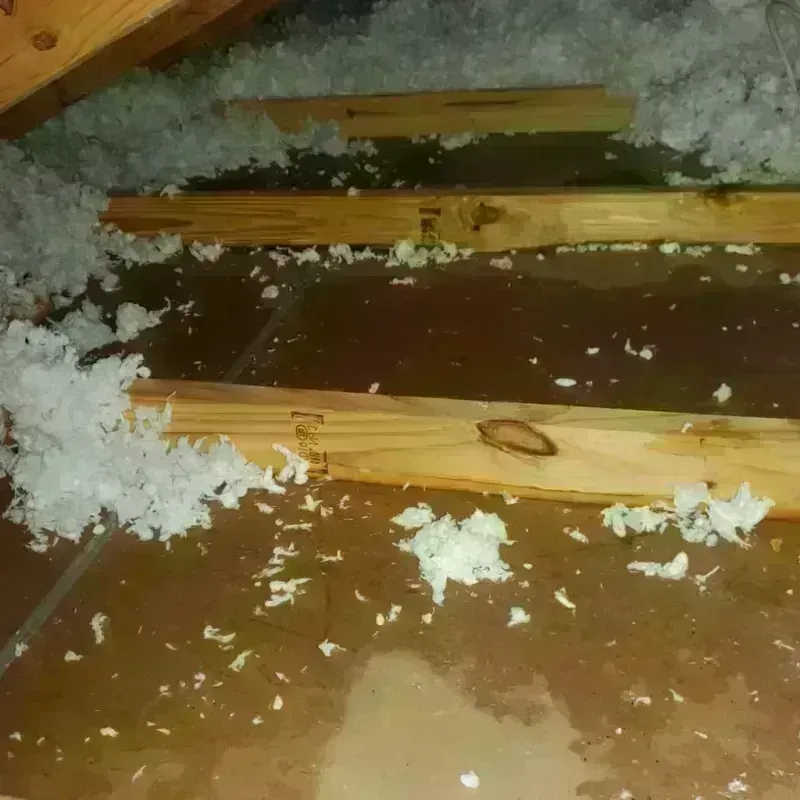 Attic Water Damage in Willowbrook, CA