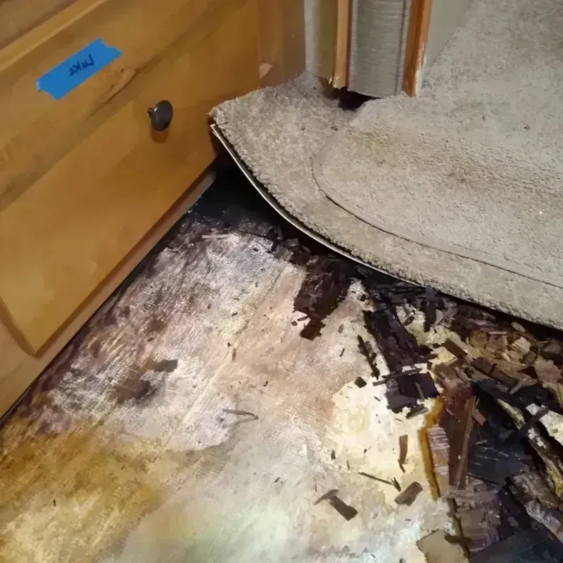 Wood Floor Water Damage in Willowbrook, CA